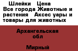 Шлейки › Цена ­ 800 - Все города Животные и растения » Аксесcуары и товары для животных   . Архангельская обл.,Мирный г.